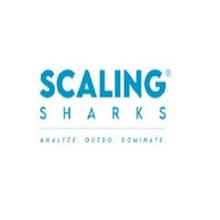 scalingsharks